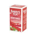 Barrys Tea Berry Burst String & Tag 6x20 EA