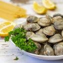 Fresh Clams 1x2 KG