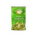 Golden Swan Straw Mushroom Halves 1x425 GM