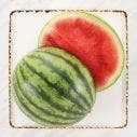 Watermelon 1x1'S