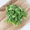 Coriander (fresh herb) 1x50 GM