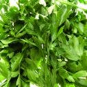 Flat Parsley (fresh herb) 1x1 KG