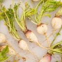 Irish Whole Baby Turnip 1x40 EA