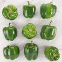Green Peppers 1x5 KG