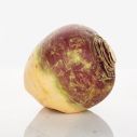 Turnips/Swede 1x1 EA
