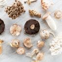 Wild Mix Mushrooms 1x1 KG
