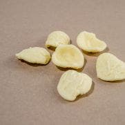 Pasta Jesce Fresh Orecchiette 1x500 GM