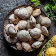 Whole Cooked Clams 60/80 1x1 KG