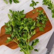 Flat Parsley (fresh herb) 1x100 GM