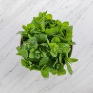 Mint (fresh herb) 1x100 GM