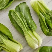 Shanghai Pak Choi 1x8 KG