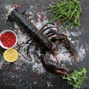 Native Wild Live Irish Lobster 3x500 GM