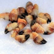 Double Pincer Crab Claw 1x1 KG