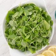 Pre Pack Watercress (Peppercress) 1x100 GM