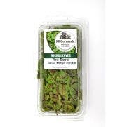 Micro Leaf Red Vein Sorrel 1x30 GM