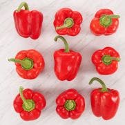 Red Peppers 1x5 KG